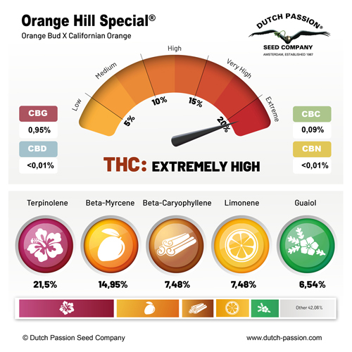Orange Hill Special terpenes
